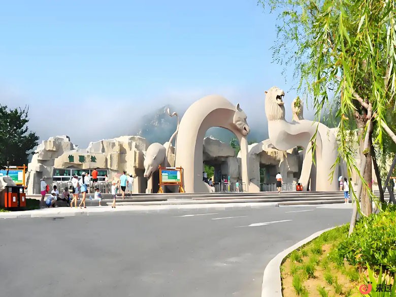 t5.jpg