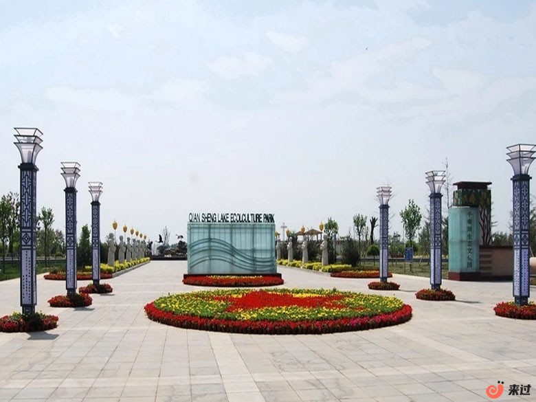 t3.jpg