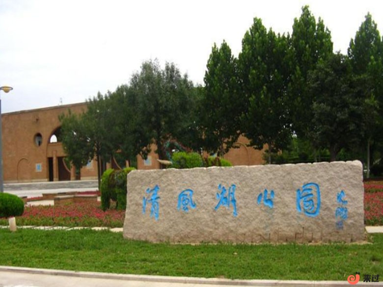 t2.jpg