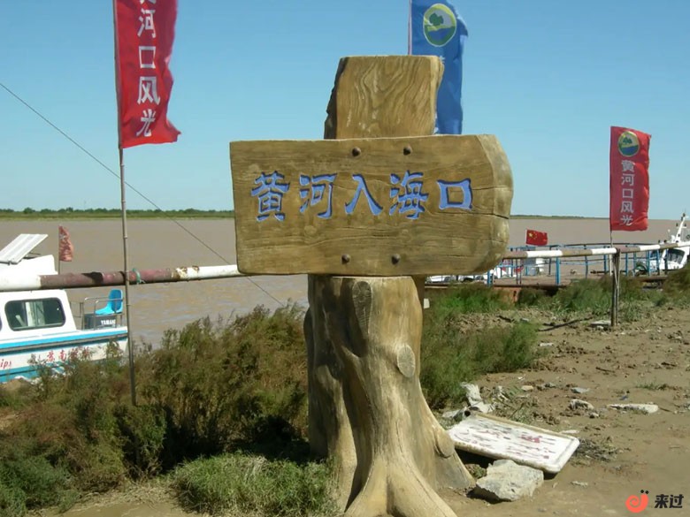 t2.jpg
