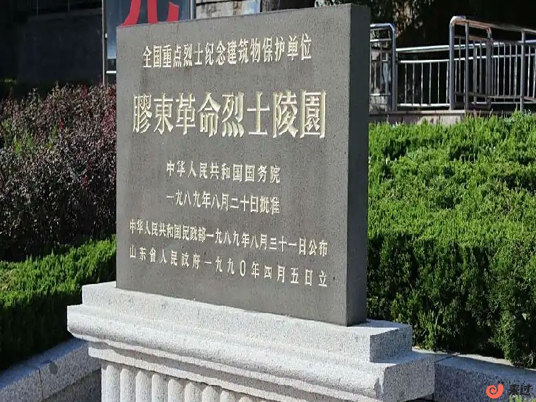 t5.jpg