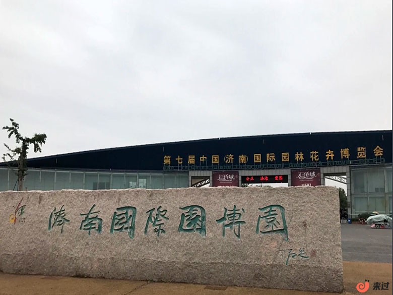 t3.jpg
