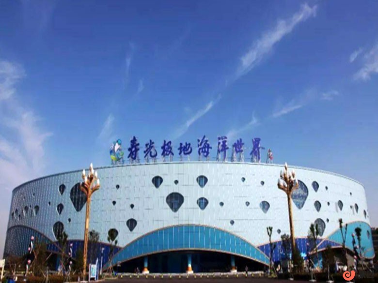 t4.jpg