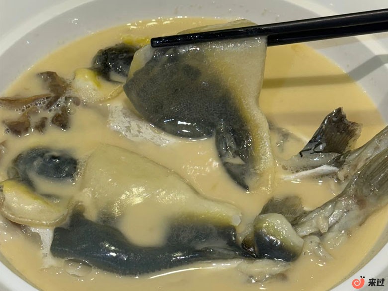 河豚.jpg
