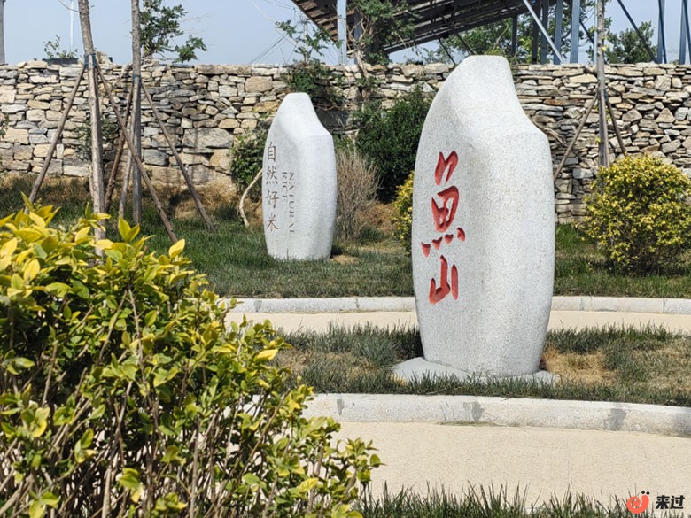 T2.jpg
