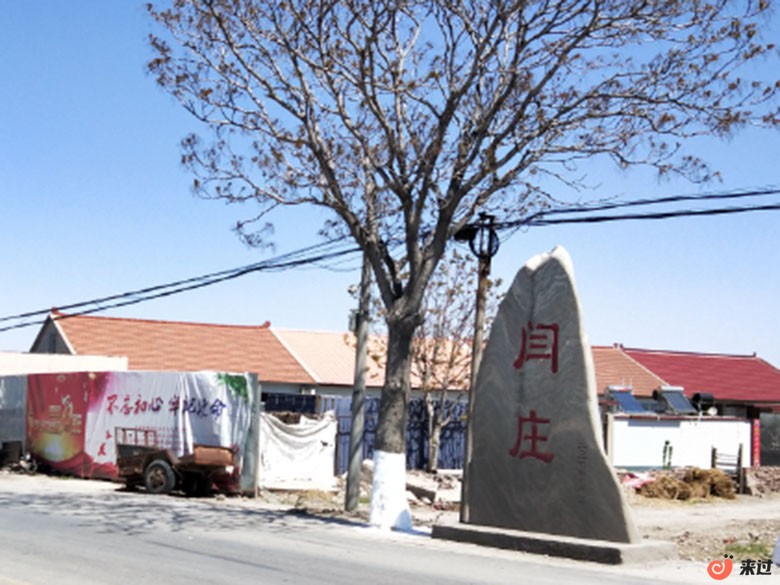 t4.jpg