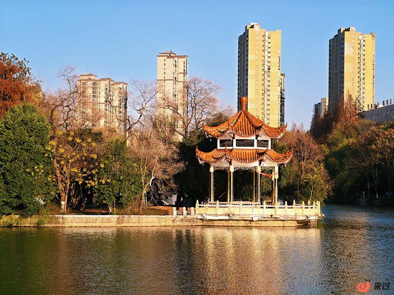 南湖湿地公园111.jpg