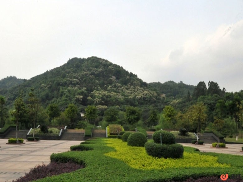 t3.jpg