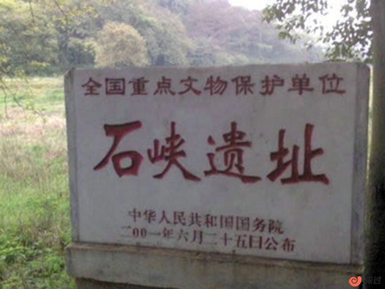 t2.jpg