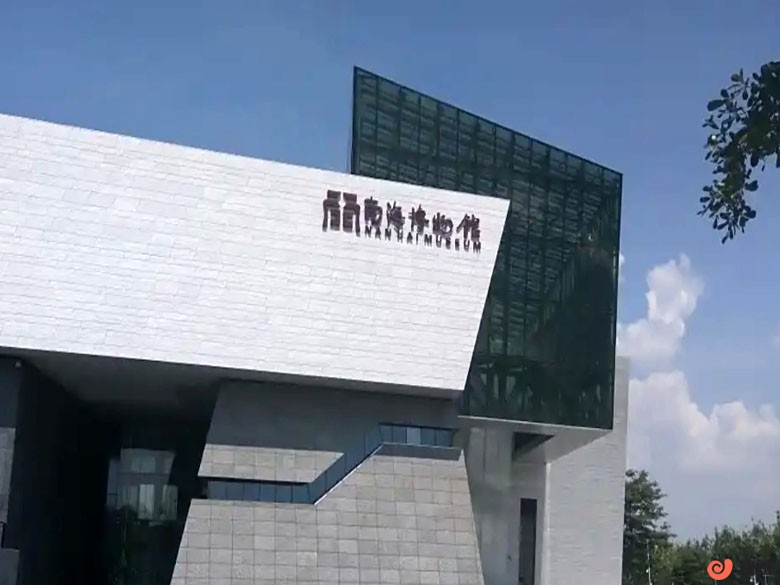 t2.jpg