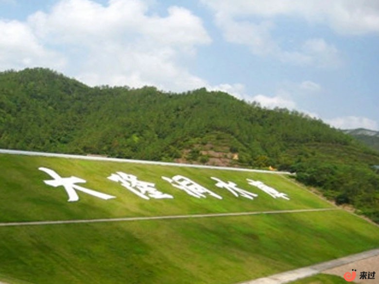 t1.jpg