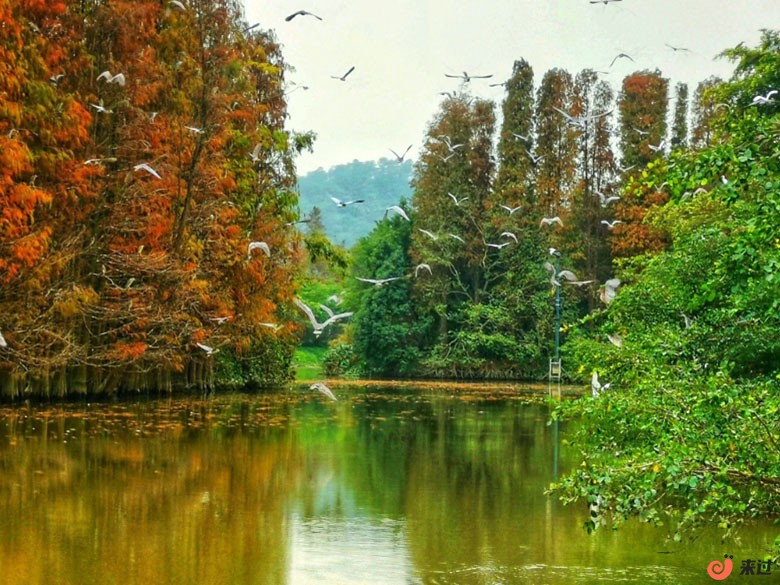 t1.jpg
