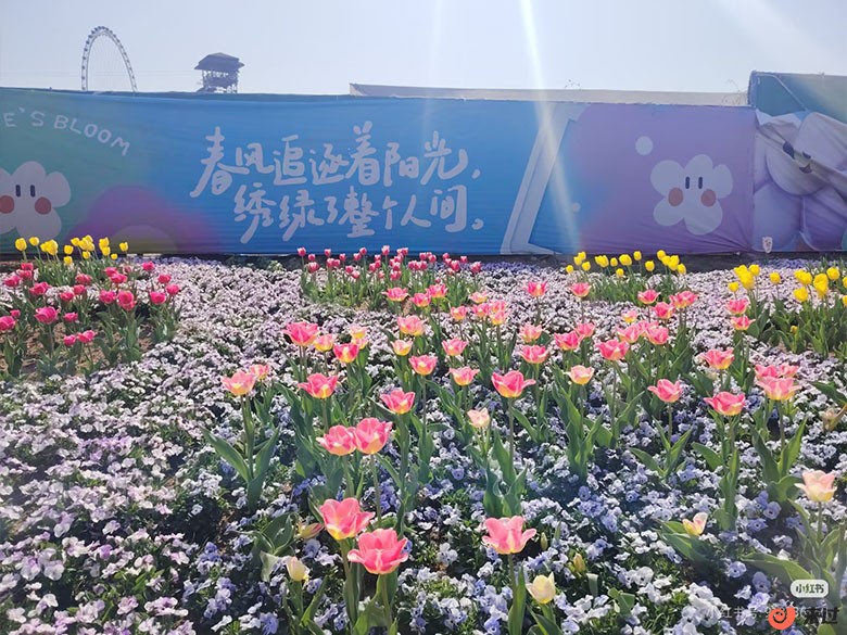 祥源花世界景区.jpg