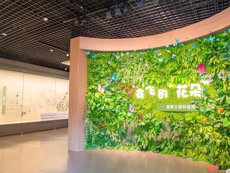 花与昆虫博物馆.jpg