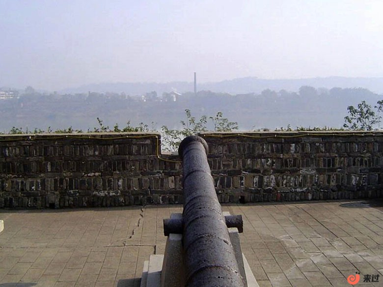 t5.jpg