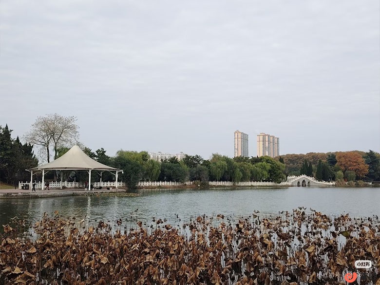 龙湖公园.jpg