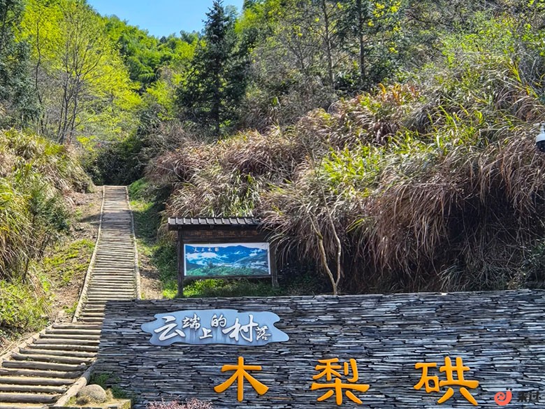 木梨硔.jpg