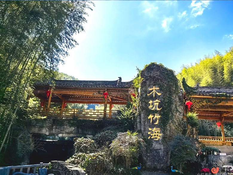木坑竹海.jpg