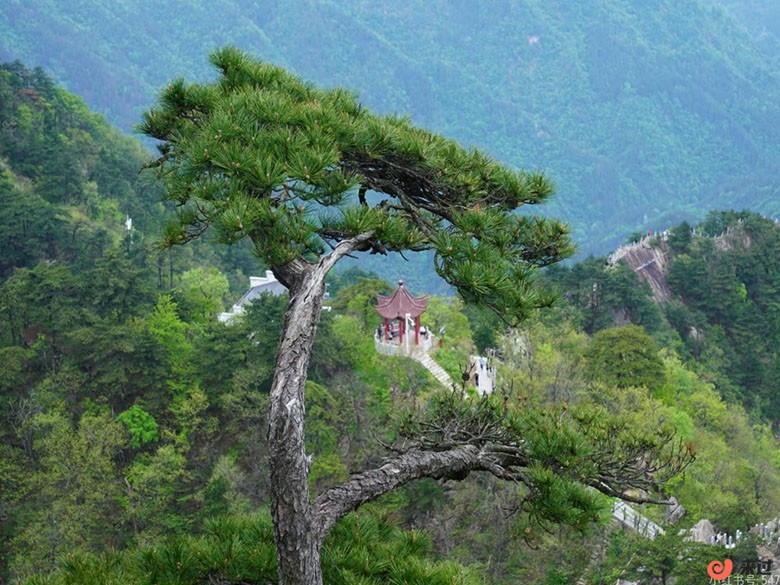 万佛山.jpg